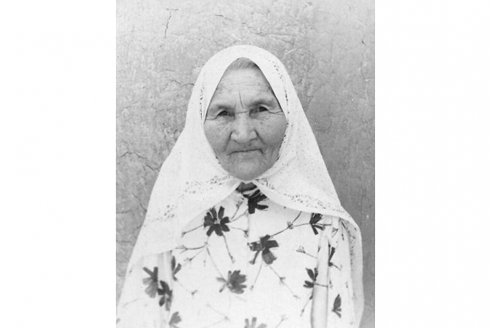 Ибраһимовтар нәҫеле