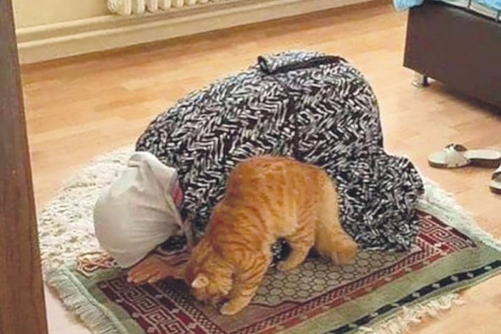 Һорауҙар һәм яуаптар