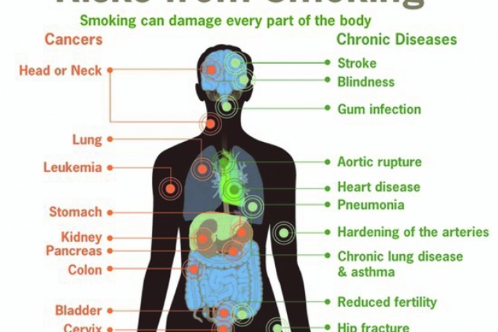 Human body in the Koran and Sunnah