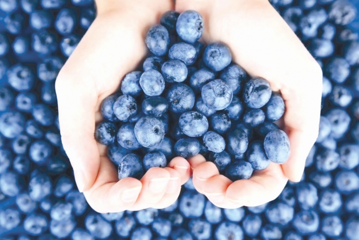 Къярх (черника)