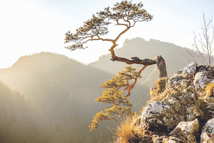 БалкIа галгаличила