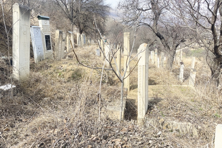 Заназул росу