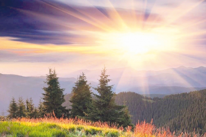 Tеz oyanmağın sirri