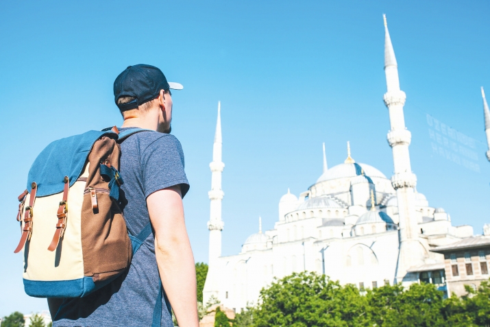 Виле акьун тавун