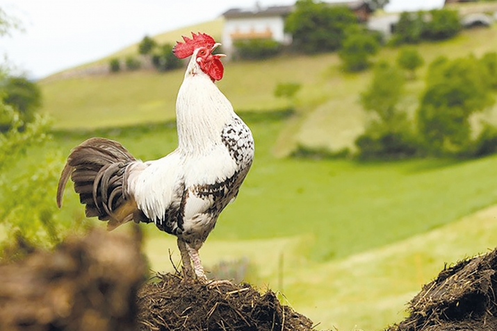 Бязи къадагъаяр ва хъсан тушир амалар