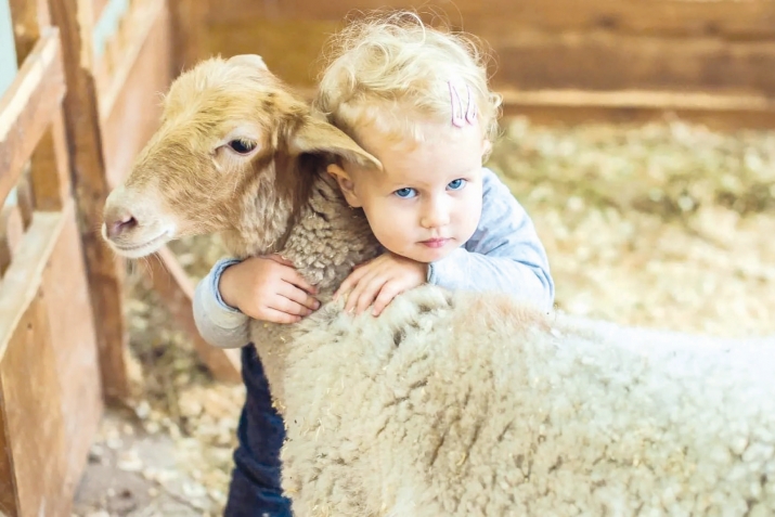 Гирами Гъурбан машквар