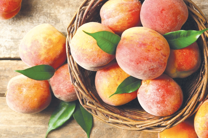 «Паракьатшиврул ахъулсса»