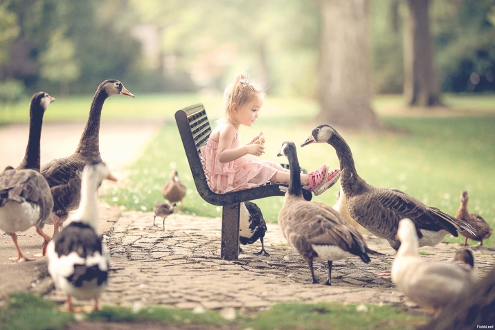 Казның муены нигә озын?