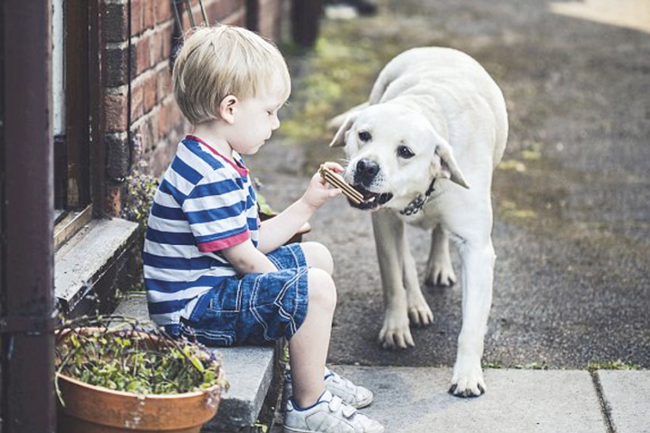 THE BOY AND THE DOG
