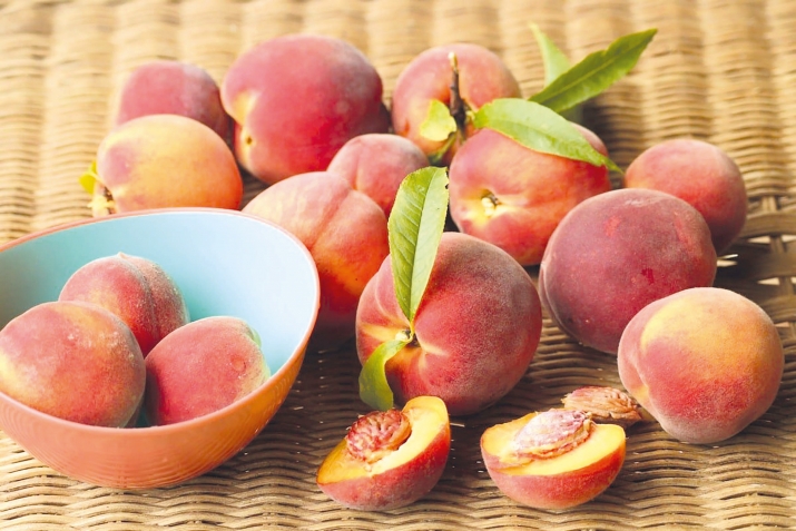 Микьир – пайдаяб нигIмат