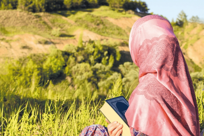 Щиб жо кколеб хIижаб?