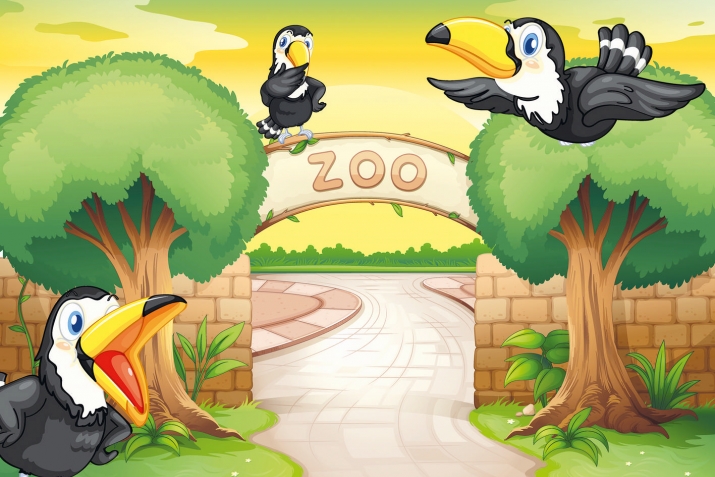 Bir dәfә zооpаrkdа