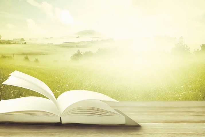 HANGİ DİLİ KONUŞUYORUZ? HANGİ DİLDEN ANLIYORUZ?