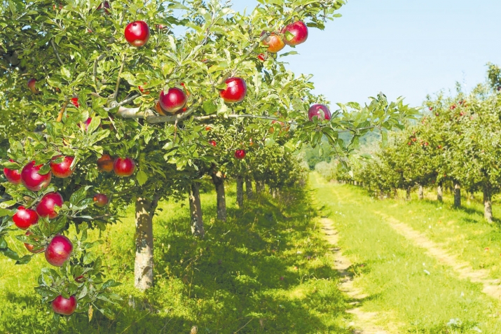 Кьисмет дегишарай ич