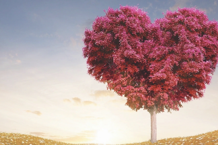 Идавсиясса ﷺ бусаларду