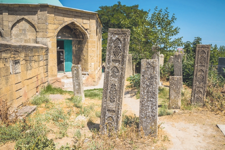 Тела мунги...