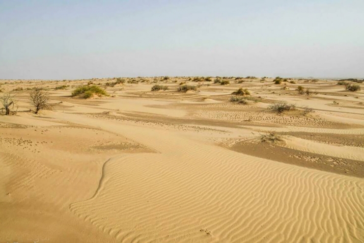 ШӘЙБӘНЕҢ ҒӘБДЕЛМОТТАЛИПҠА ӘЙЛӘНЕҮЕ