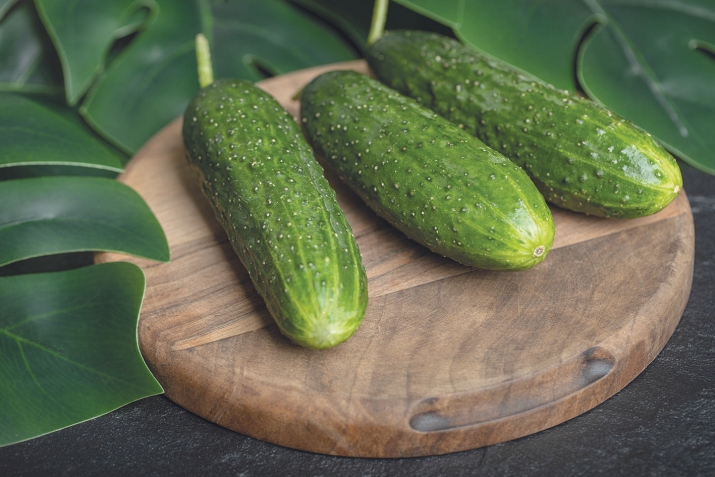 Бодиринг – давои варами шуш ва муқобили пиршавӣ