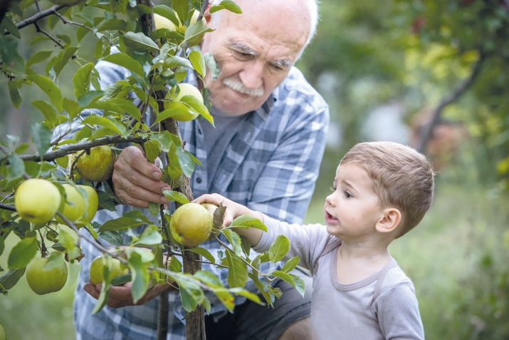 Низ мус ва гьикl куьмек гуда?