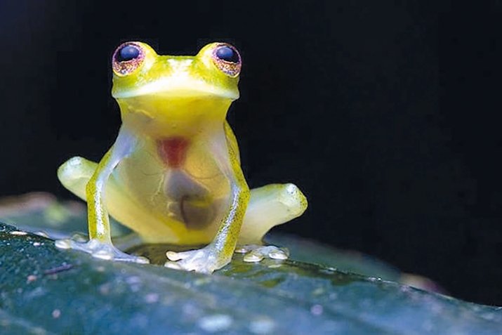 Аллагь Тааладин аламатдин махлукьатар