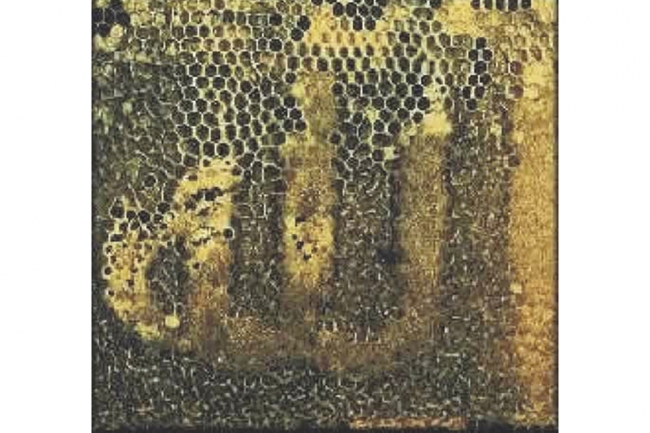 ИЛАҺИ МӨҒЖИЗӘЛӘР