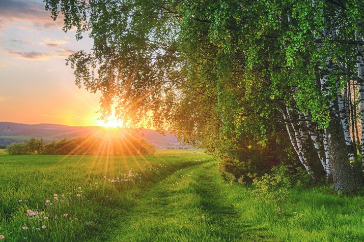 Аьрщи аьтIутIи дуваймур