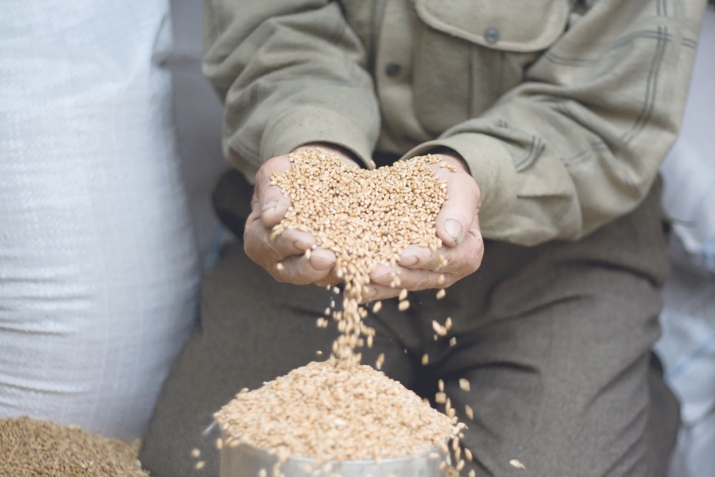 СсахI бичаву – зумаритавал закат