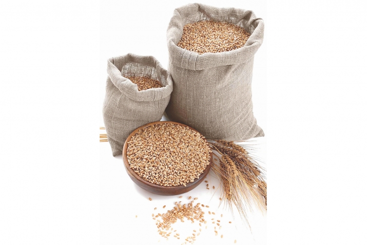 Алтын бөртекләр