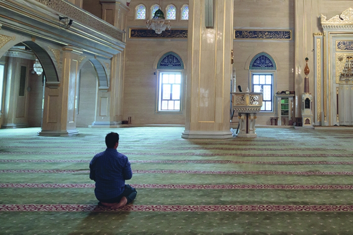 Панду насиҳат