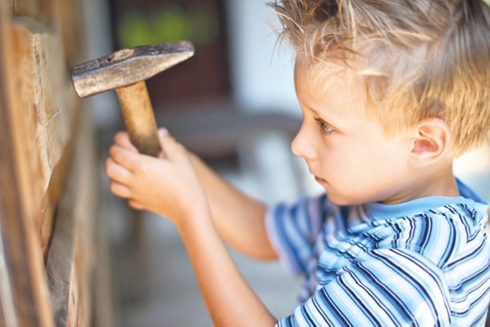 Коймадагы кадаклар