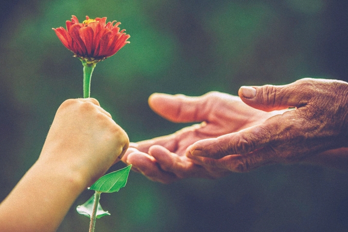 DİLDEN GÖNÜLLERE NASİHAT