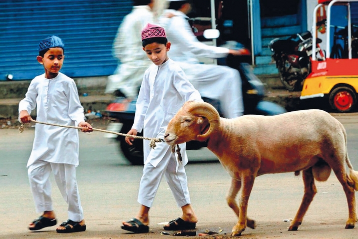  Гурбан неҹә кәсилмәлидир