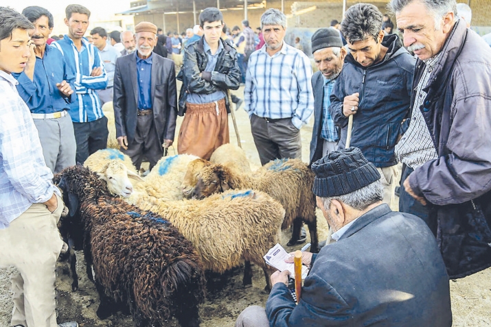 Qurban necə kəsilməlidir