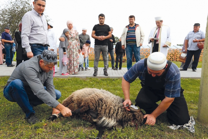 Аллагьасе ﷻ бокьулеб би