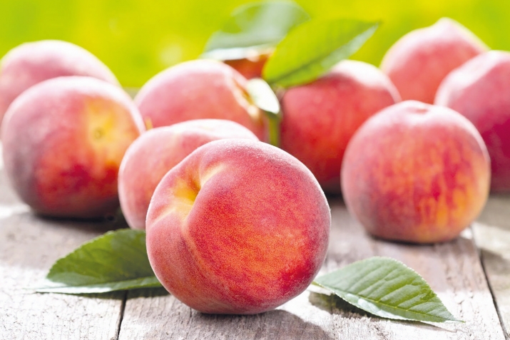 Менфятлу ва тlямлу шефтелияр