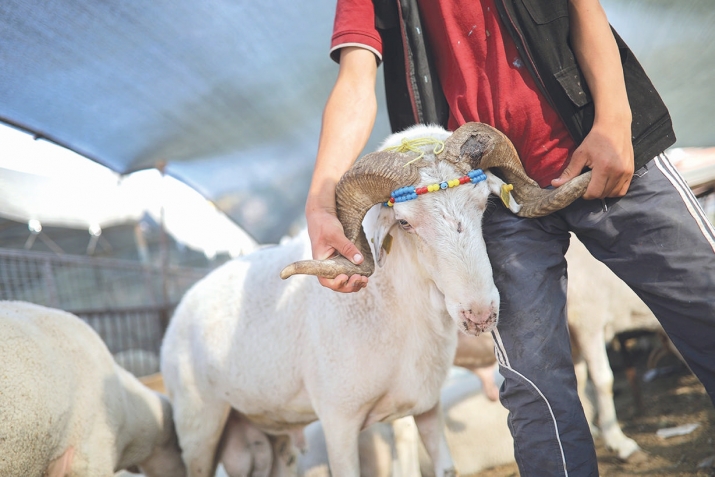 Кьурбан-Байрам дурабуркIни