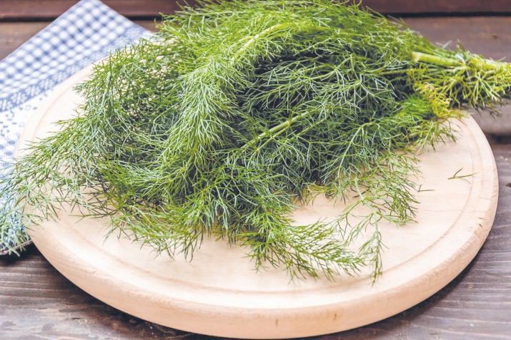 Шибит — давои дарди шикам