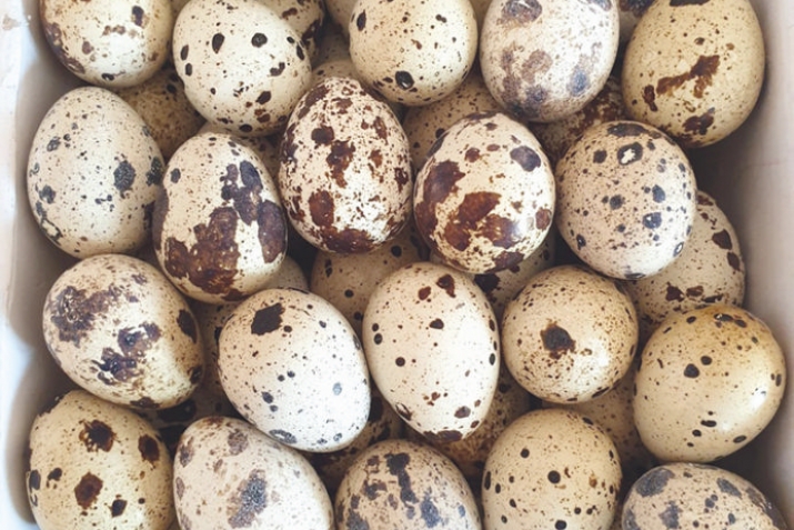 ХхюнкIлул ккунукру