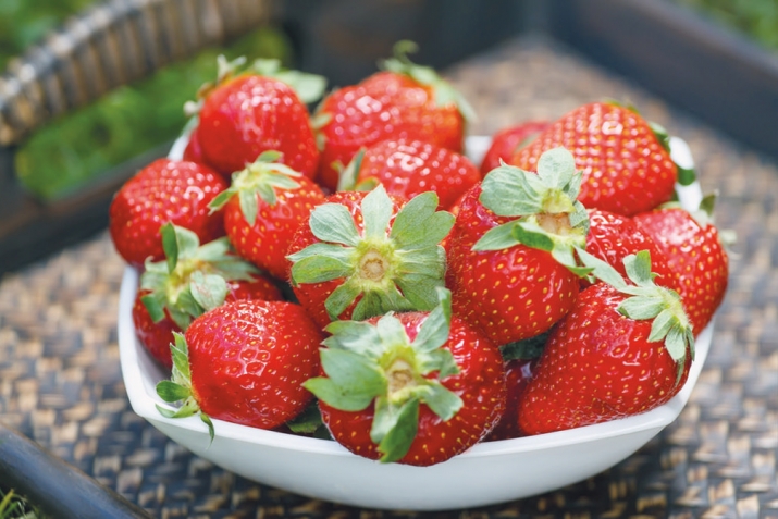 Қулфинай кафолати солимӣ ва зебоӣ