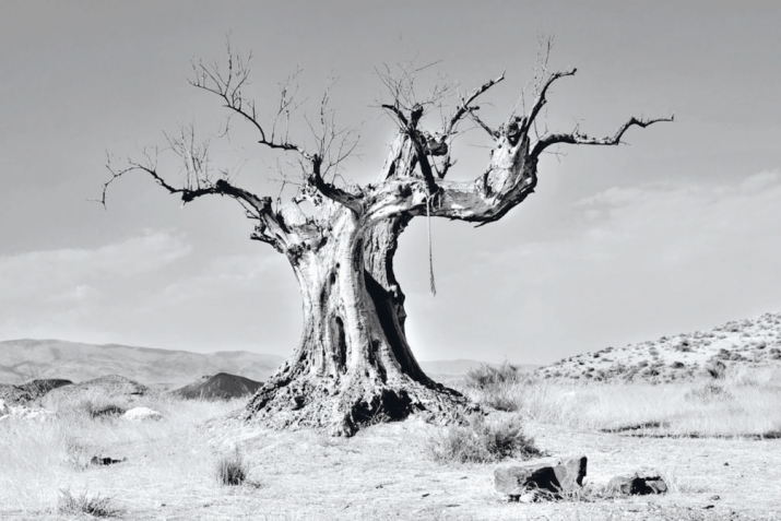 Ярлылыкъгъа тарытагъан гюнагь