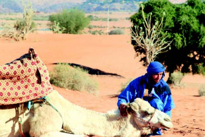 Пайхаммарны ﷺ асгьабалары: Сурака ибн Малик 