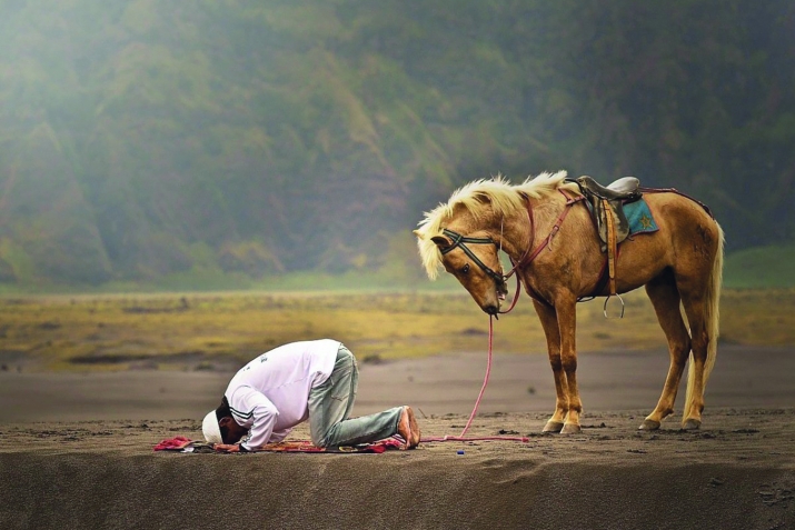 Се баралли гIяхIси?