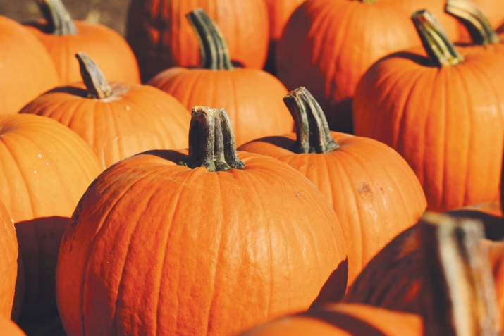 KORAN AND SUNNAH ON HUMAN HEALTH