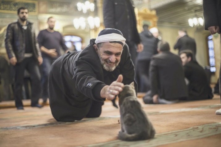 Дини сулҳу ваҳдат