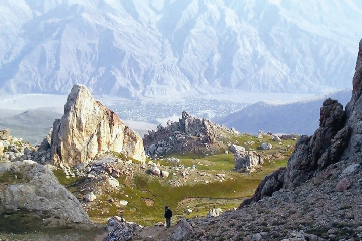 Чарадаз зарар гумир!