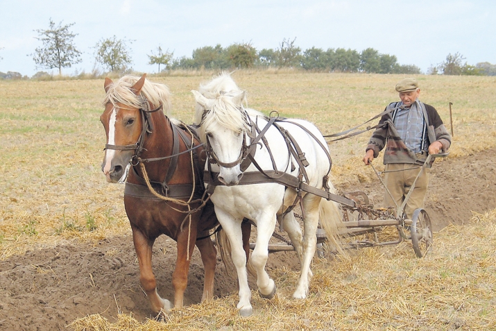 БегIлара гIяхIси дарс