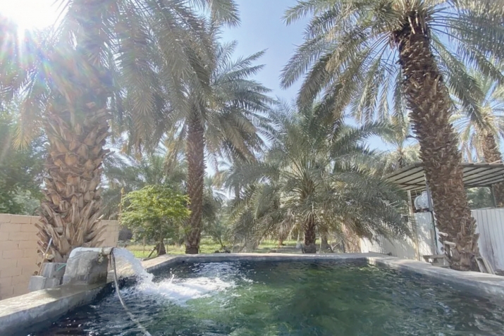 Мәдинә шәһәрендә Сәлман әл-Фәрисинең бакчасы