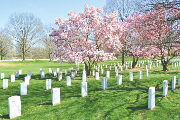 Саволу ҷавоб