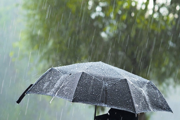 Цавари гугрумар ийидайла кIелдай дуьа