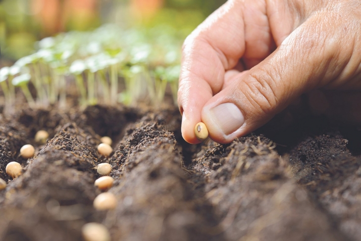 From training boxers to smart seeds
